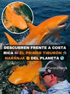 U27 IMG 9130 1 225x300